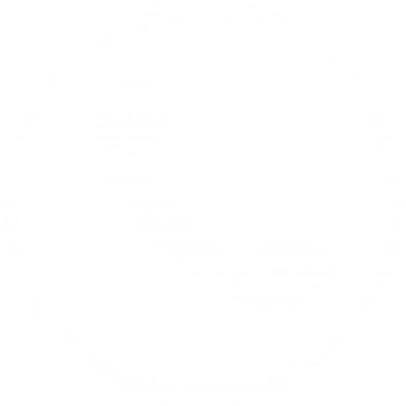 Phone Logo